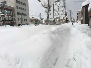 福井のフェニックス通りがすっかり雪道になってる様子