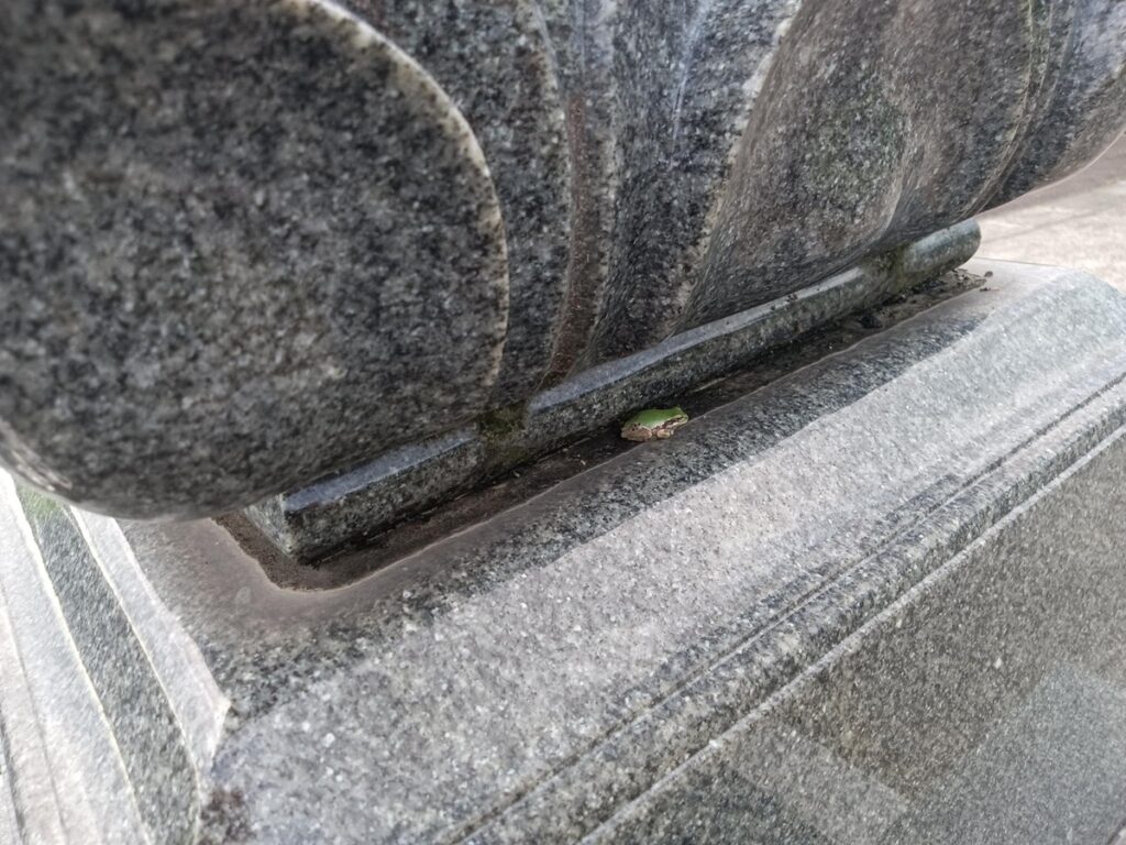 南部家のお墓と小さな何か
